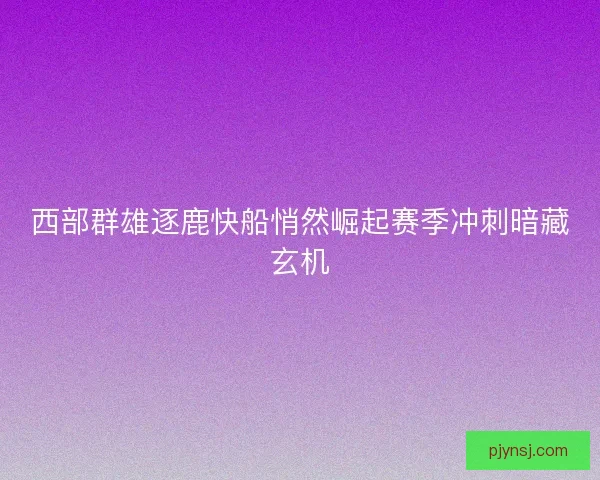 西部群雄逐鹿快船悄然崛起赛季冲刺暗藏玄机